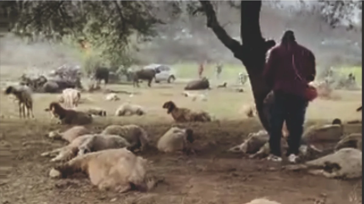 <div class="paragraphs"><p>فوٹو ویڈیو گریپ</p></div>