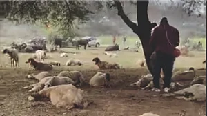 <div class="paragraphs"><p>فوٹو ویڈیو گریپ</p></div>