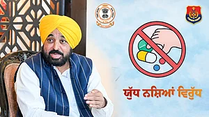 <div class="paragraphs"><p>تصویر آئی اے این ایس / سوشل میڈیا</p></div>