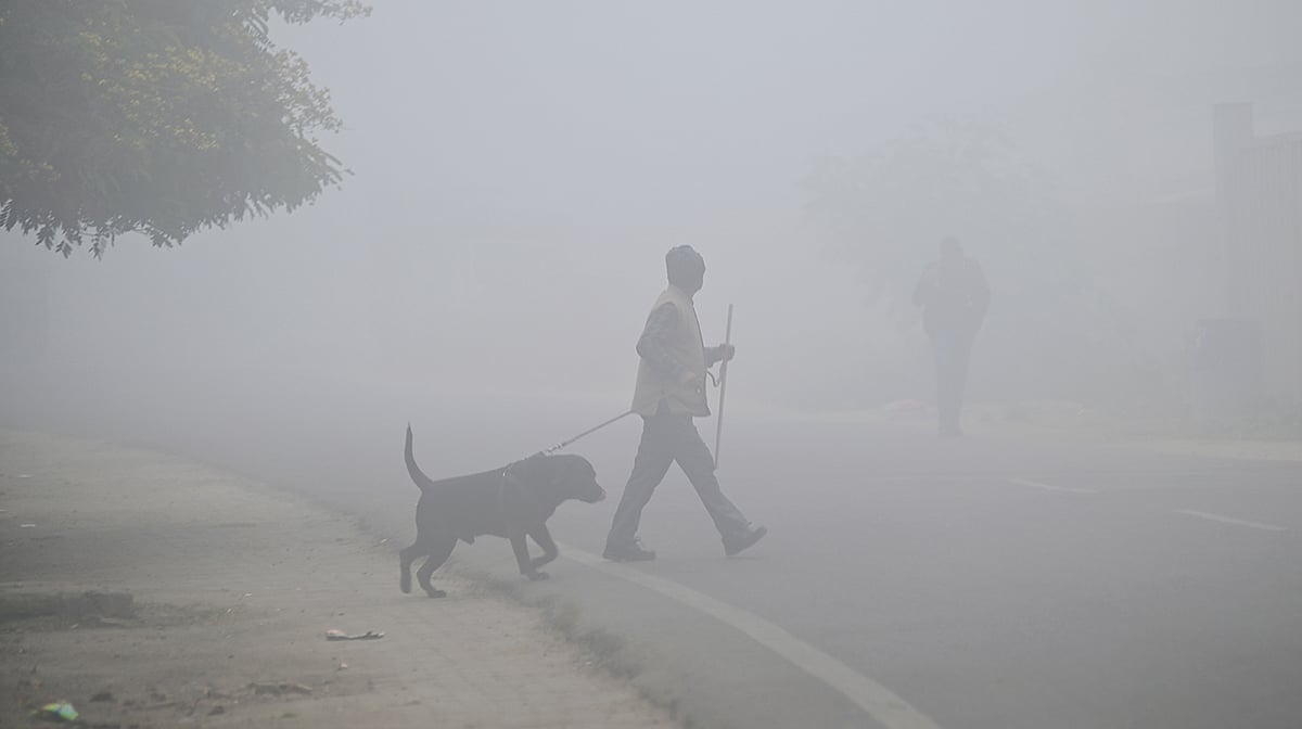 <div class="paragraphs"><p>یوپی میں کہرے کا منظر / آئی اے این ایس</p></div>