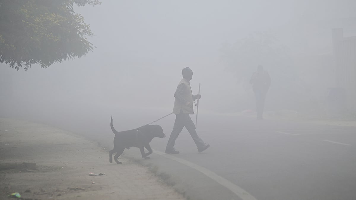 <div class="paragraphs"><p>یوپی میں کہرے کا منظر / آئی اے این ایس</p></div>