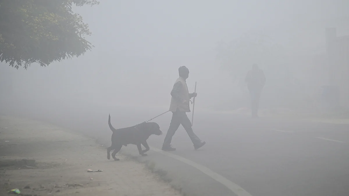 <div class="paragraphs"><p>یوپی میں کہرے کا منظر / آئی اے این ایس</p></div>