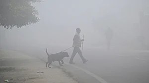 <div class="paragraphs"><p>یوپی میں کہرے کا منظر / آئی اے این ایس</p></div>