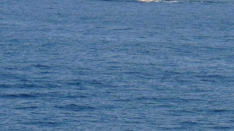 <div class="paragraphs"><p>فائل تصویر آئی اے این ایس</p></div>