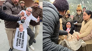 <div class="paragraphs"><p>تصاویر بشکریہ ایکس</p></div>