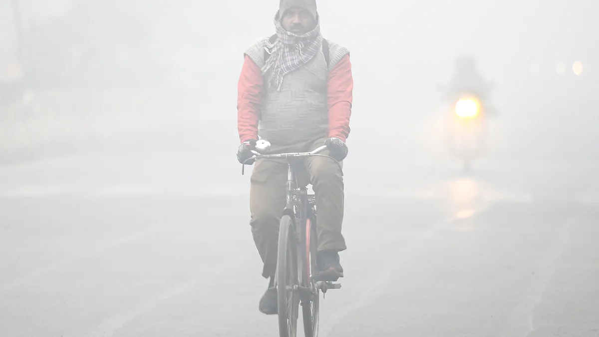 <div class="paragraphs"><p>آئی اے این ایس</p></div>