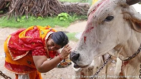 <div class="paragraphs"><p>فائل فوٹو</p></div>