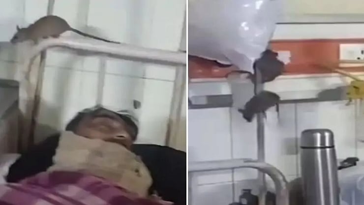 <div class="paragraphs"><p>ویڈیو گریب</p></div>