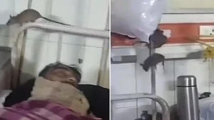 ’انسانوں کے وارڈ میں چوہوں کی موج! موٹے-پتلے، گول-مٹول، طرح طرح کے چوہے‘، گونڈا میڈیکل کالج کی حالت پر کانگریس کا طنز