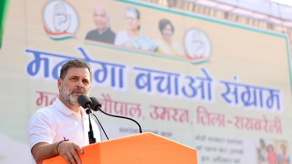 <div class="paragraphs"><p>راہل گاندھی، تصویر ’ایکس‘ @INCIndia</p></div>