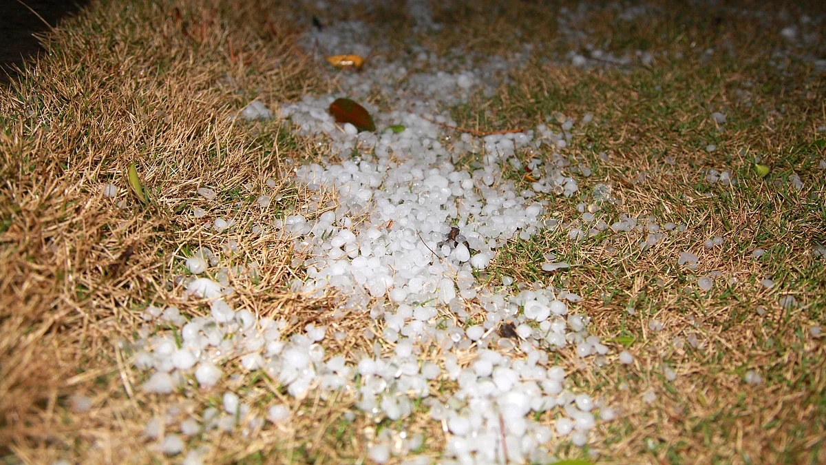 ژالہ باری، علامتی تصویر آئی اے این ایس