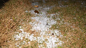 ژالہ باری، علامتی تصویر آئی اے این ایس