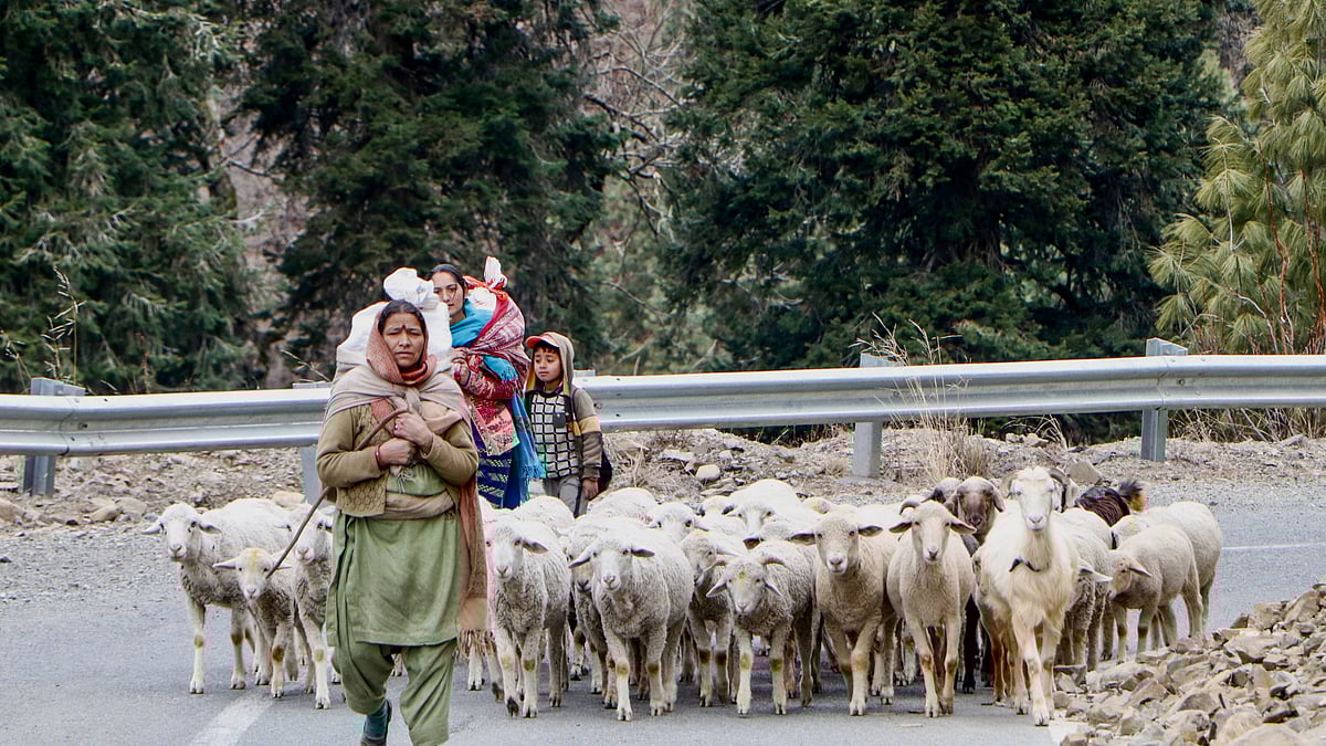 <div class="paragraphs"><p>فائل علامتی تصویر آئی اے این ایس</p></div>