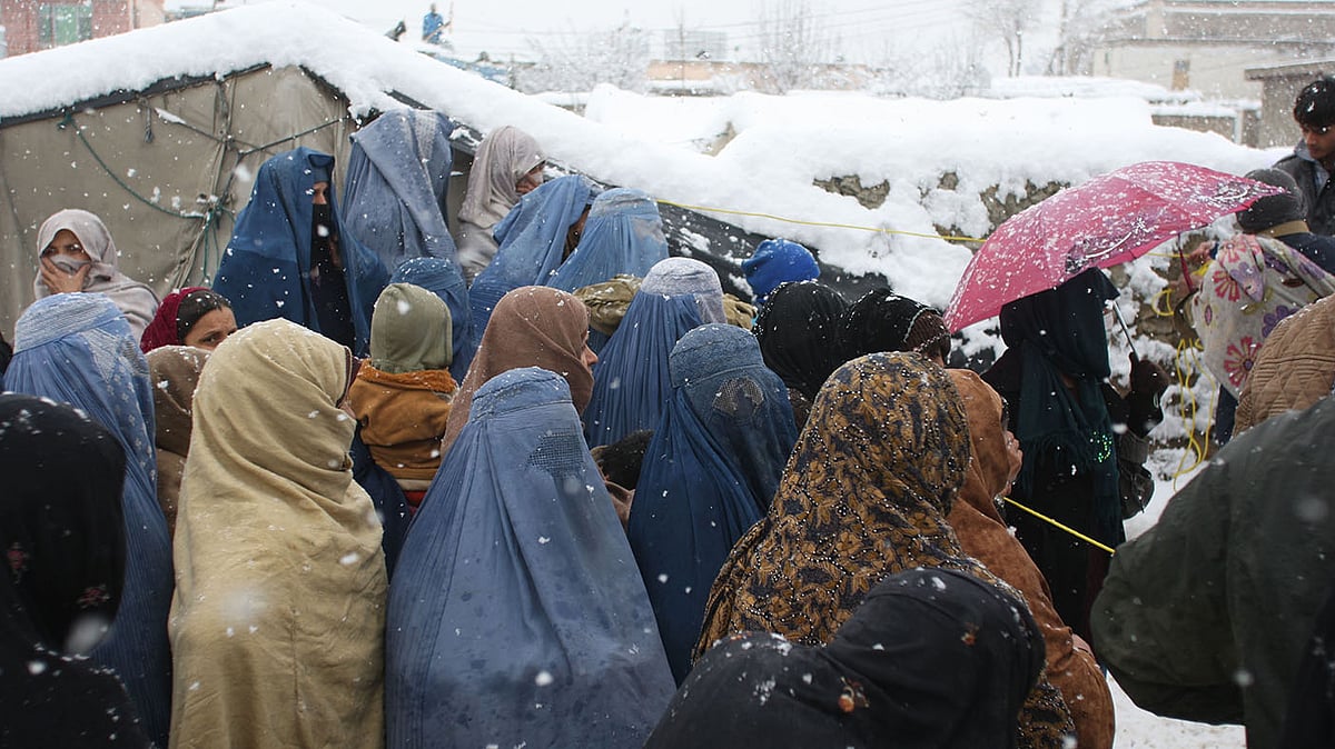 <div class="paragraphs"><p>آئی اے این ایس</p></div>