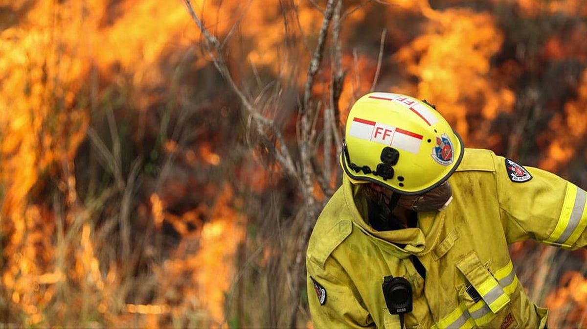 <div class="paragraphs"><p>آئی اے این ایس</p></div>