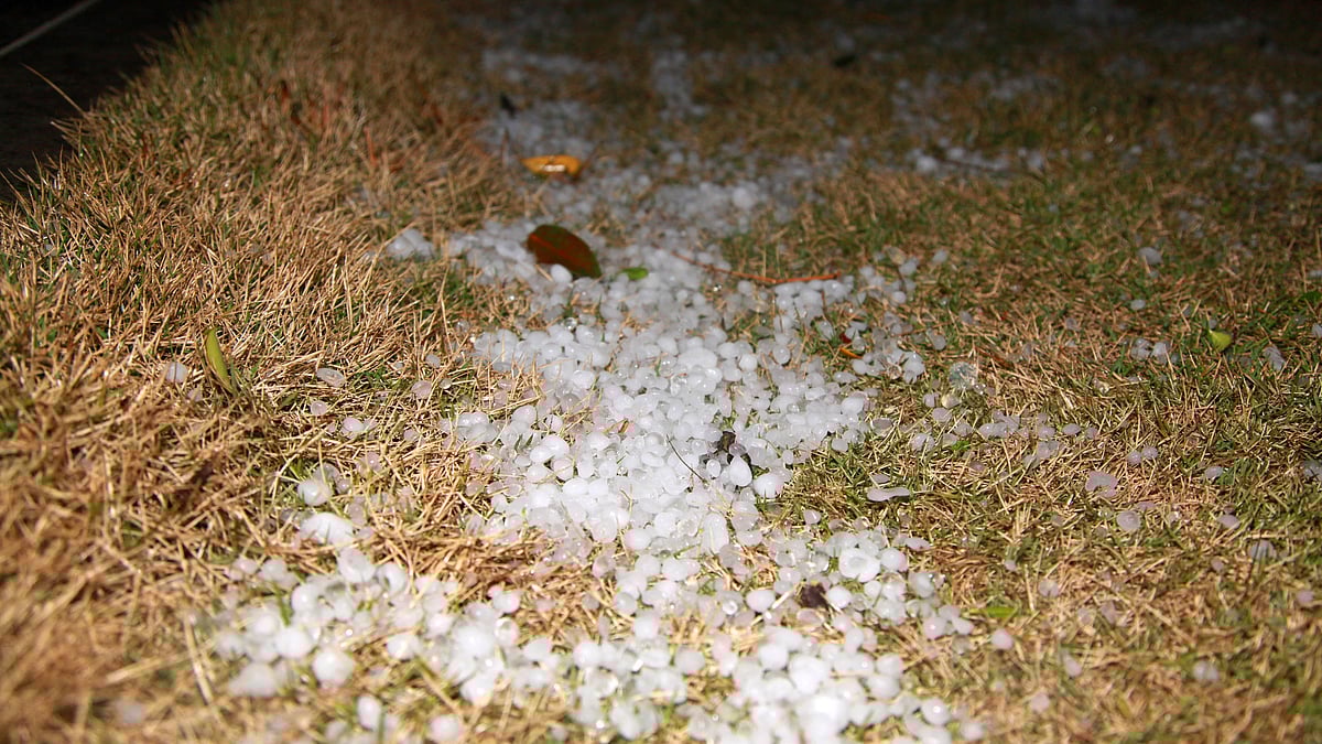 ژالہ باری، علامتی تصویر آئی اے این ایس