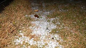 ژالہ باری، علامتی تصویر آئی اے این ایس