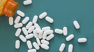 <div class="paragraphs"><p>علامتی تصویر / سوشل میڈیا</p></div>