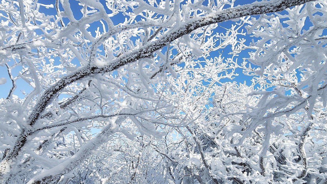 <div class="paragraphs"><p>فائل علامتی تصویر آئی اے این ایس</p></div>