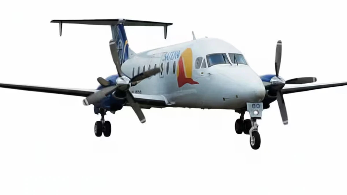 <div class="paragraphs"><p>سوشل میڈیا</p></div>