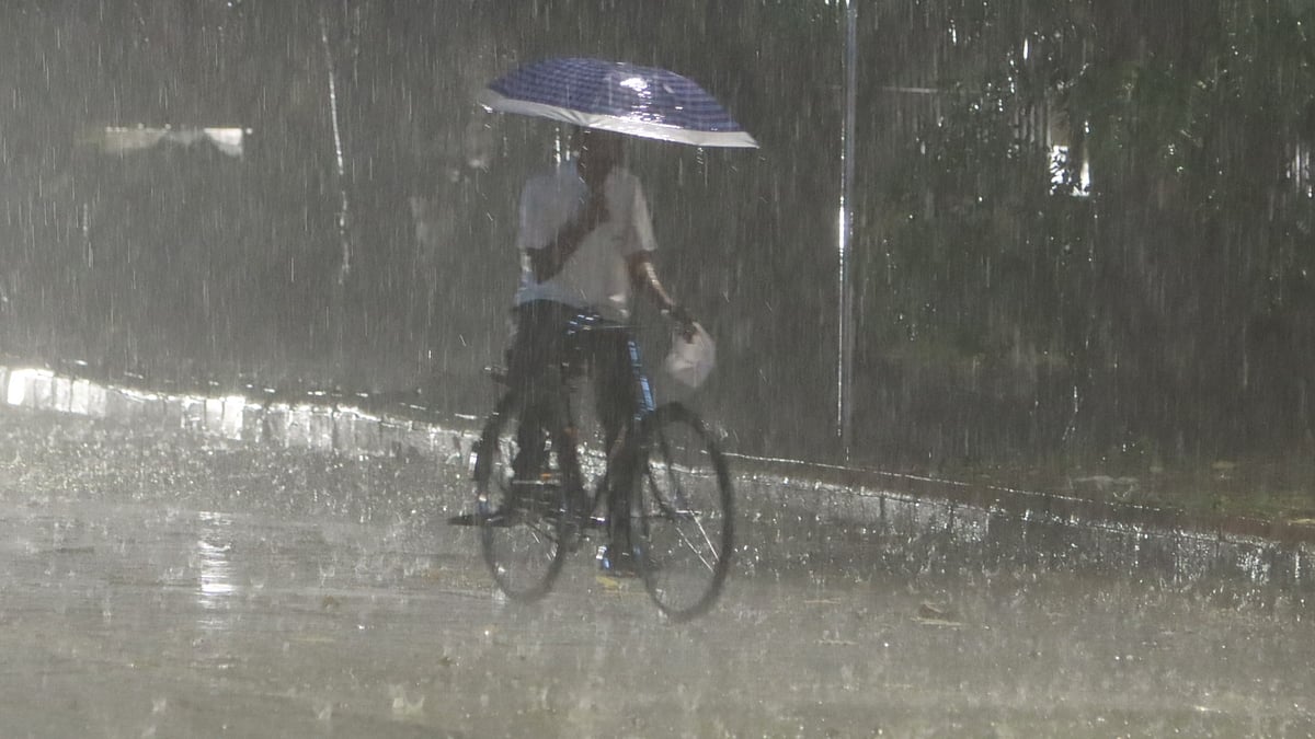 <div class="paragraphs"><p>فائل تصویر آئی اے این ایس</p></div>