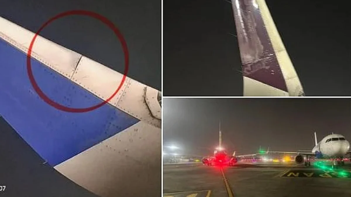 <div class="paragraphs"><p>فوٹو سوشل میڈیا</p></div>