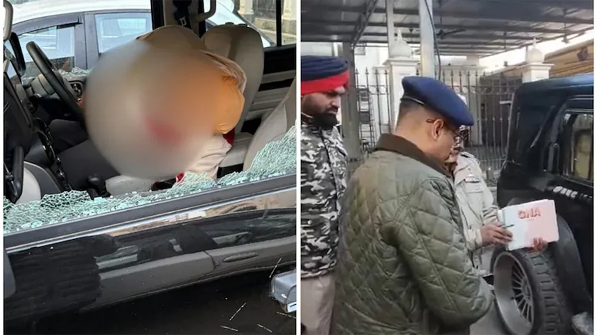 <div class="paragraphs"><p>سوشل میڈیا</p></div>