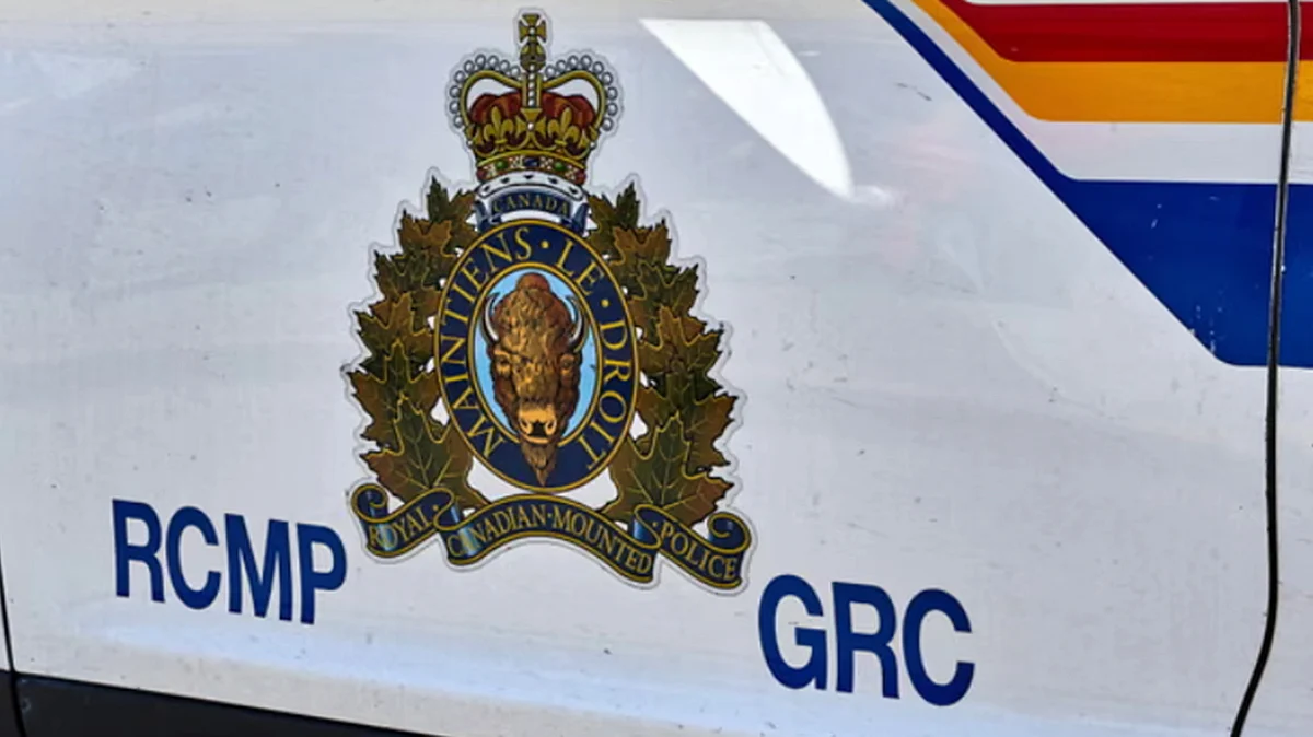 <div class="paragraphs"><p>سوشل میڈیا</p></div>