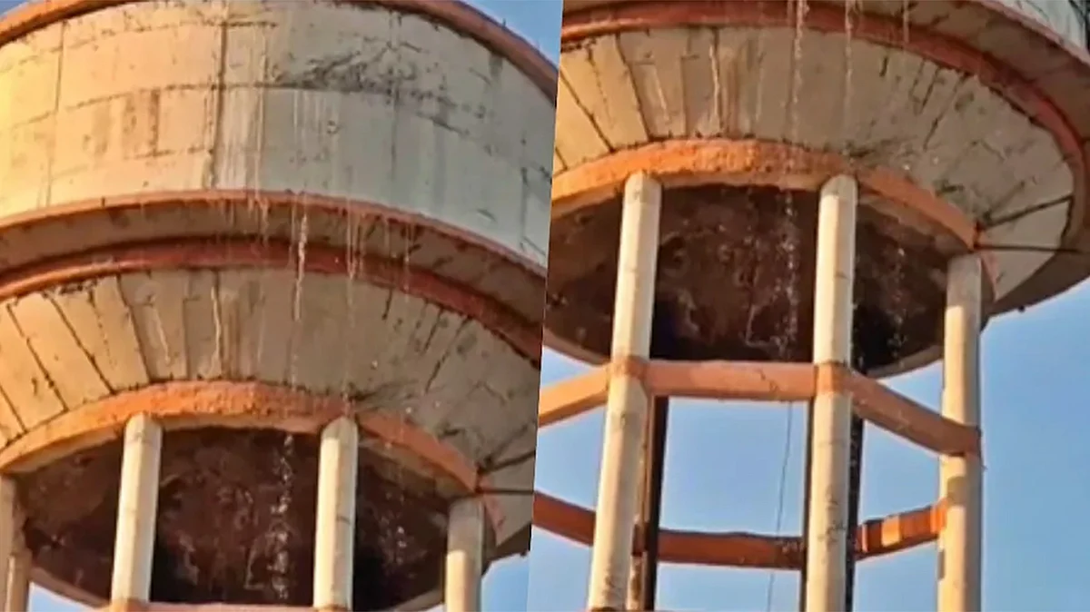 <div class="paragraphs"><p>سوشل میڈیا</p></div>