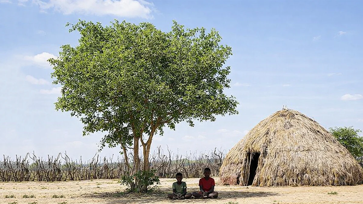 <div class="paragraphs"><p>علامتی تصویر</p></div>