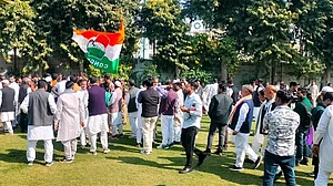 <div class="paragraphs"><p>سوشل میڈیا</p></div>