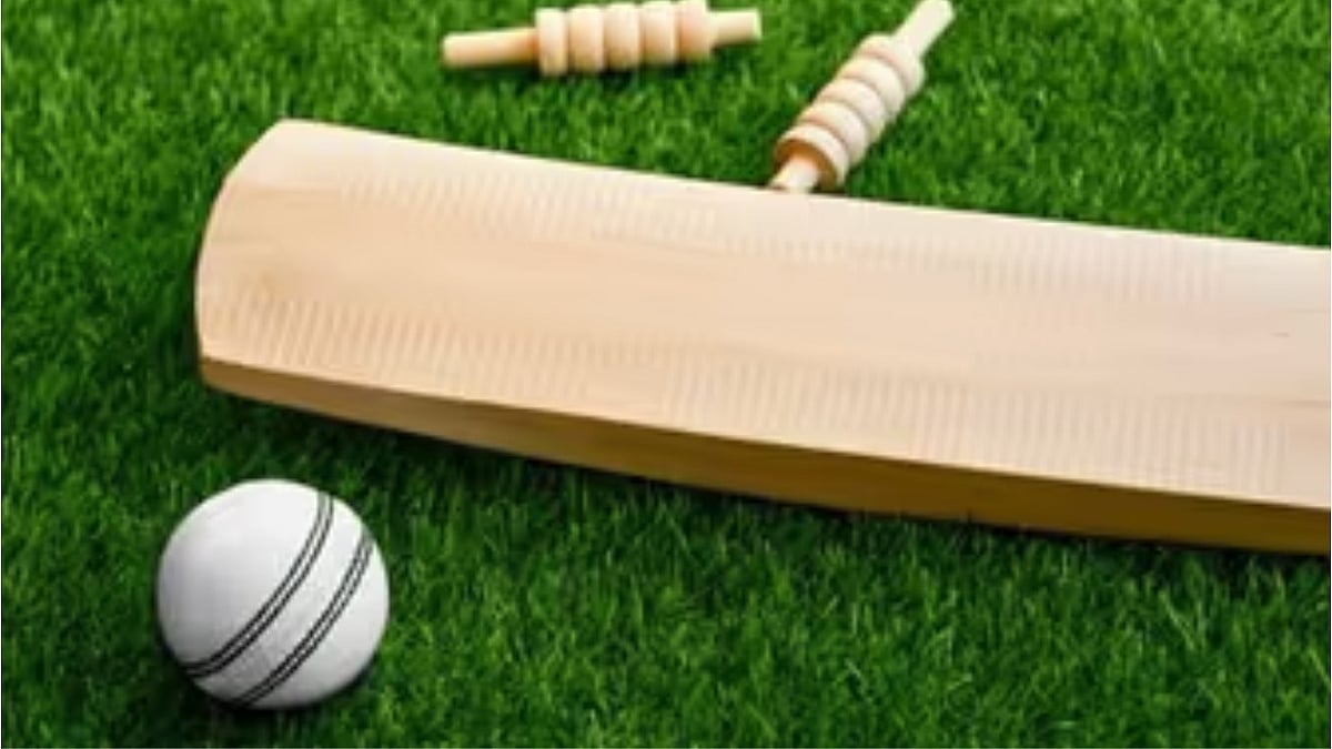 اناؤ میں کرکٹ میچ کے دوران اسٹیڈیم پر شہد کی مکھیوں کا حملہ، امپائر کی موت، متعدد کھلاڑی زخمی