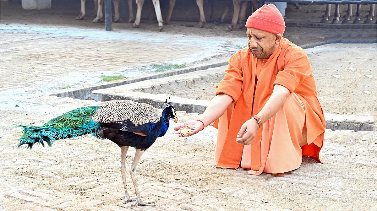 کیا یوگی آدتیہ ناتھ واقعی بابا گورکھناتھ کے وارث ہیں؟...کرشن پرتاپ سنگھ