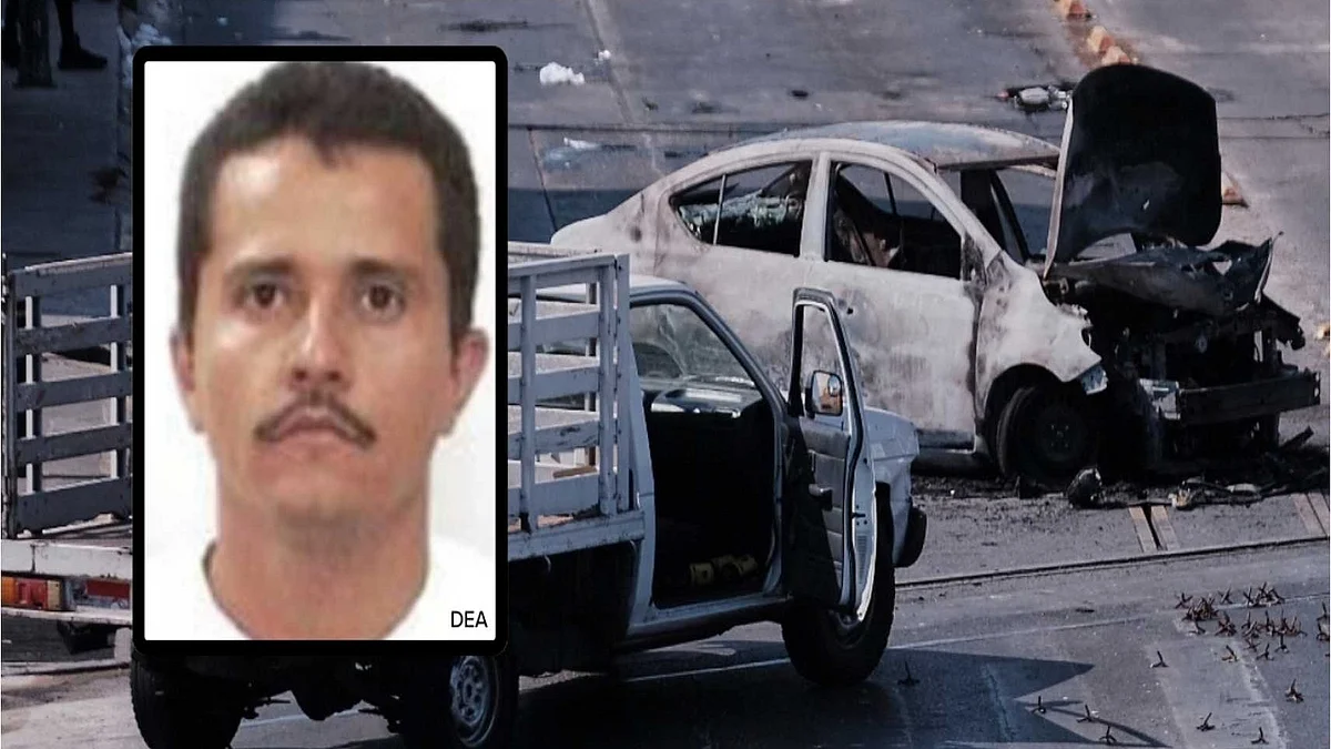 <div class="paragraphs"><p>تصویر ویڈیو گریپ</p></div>