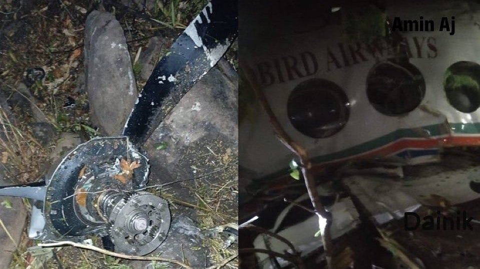 <div class="paragraphs"><p>تصویر سوشل میڈیا</p></div>