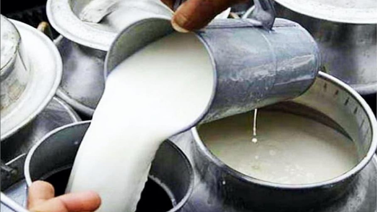 دودھ میں ملاوٹ کی چھان بین تیز، آندھرا پردیش میں 4 لوگوں کی موت، 7 کی حالت نازک