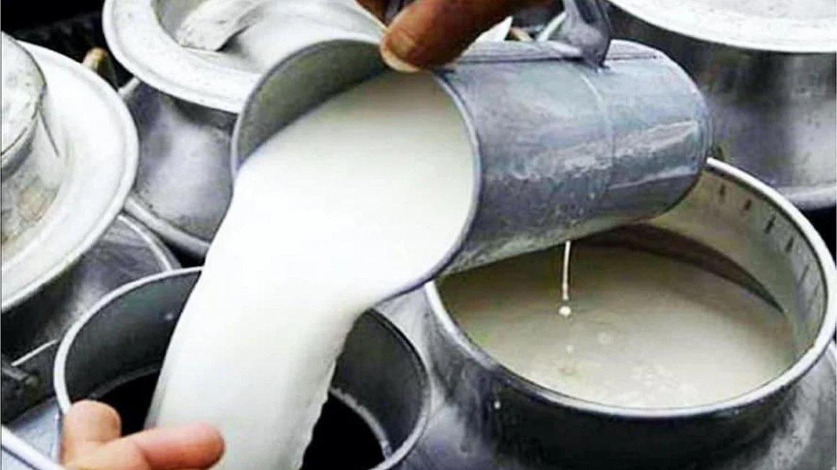 <div class="paragraphs"><p>فائل فوٹو</p></div>