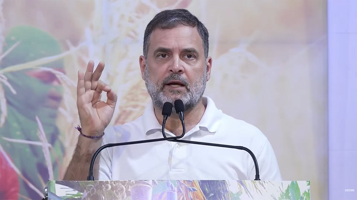 <div class="paragraphs"><p>راہل گاندھی / ویڈیو گریب</p></div>