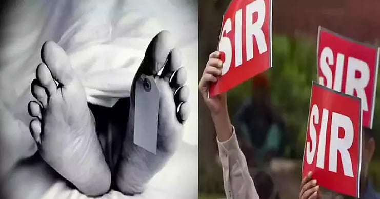 <div class="paragraphs"><p>تصویر سوشل میڈیا</p></div>