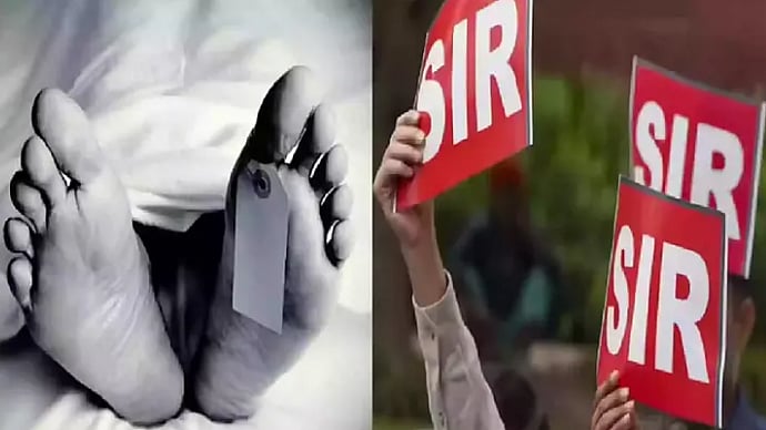 <div class="paragraphs"><p>تصویر سوشل میڈیا</p></div>