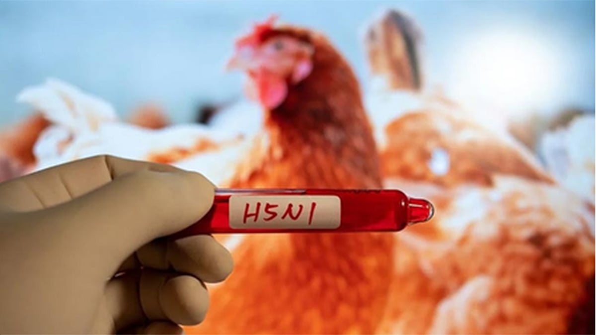 <div class="paragraphs"><p>آئی اے این ایس</p></div>