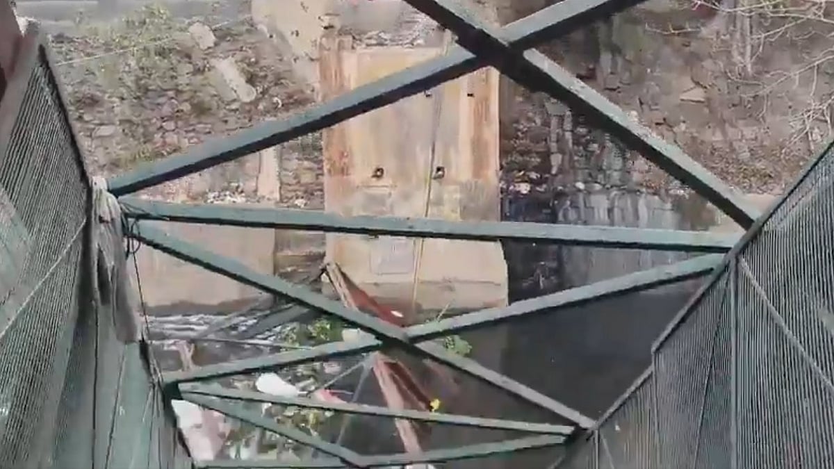 <div class="paragraphs"><p>حادثہ کا شکار پُل (ویڈیو گریب)</p></div>