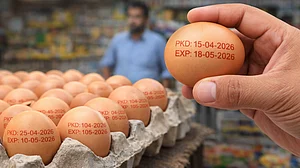 <div class="paragraphs"><p>انڈوں پر </p></div>