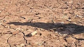 <div class="paragraphs"><p>خشک زمین (فائل فوٹو)</p></div>