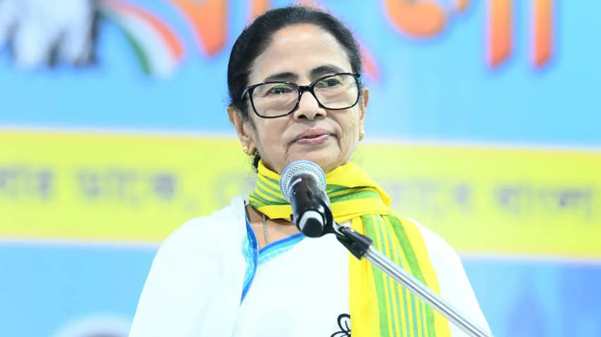 <div class="paragraphs"><p>ممتا بنرجی / آئی اے این ایس</p></div>