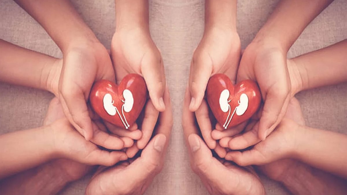 <div class="paragraphs"><p>علامتی تصویر</p></div>