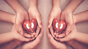 <div class="paragraphs"><p>علامتی تصویر</p></div>