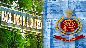 <div class="paragraphs"><p>تصویر سوشل میڈیا</p></div>