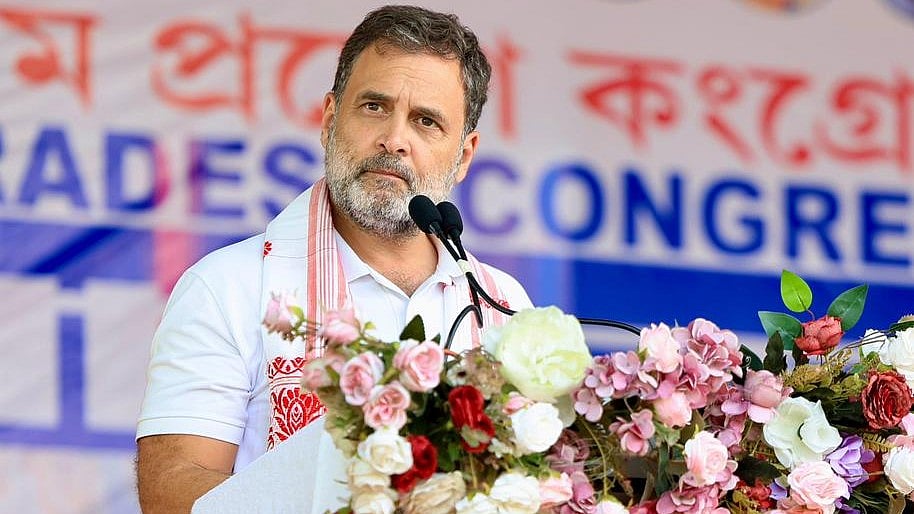 <div class="paragraphs"><p>جلسۂ عام سے خطاب کرتے ہوئے راہل گاندھی، تصویر بشکریہ @INCIndia</p></div>