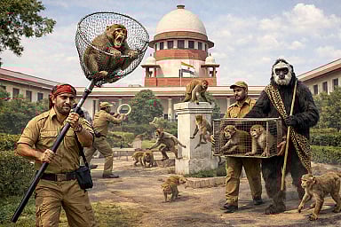 سپریم کورٹ کو بندر بھگانے والے ملازمین کی ہے تلاش، ٹنڈر نوٹس جاری